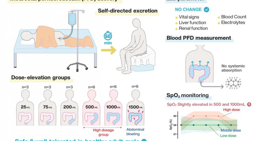 Egy lépéssel közelebb kerültünk ahhoz, hogy az ember a végbelén keresztül lélegezzen