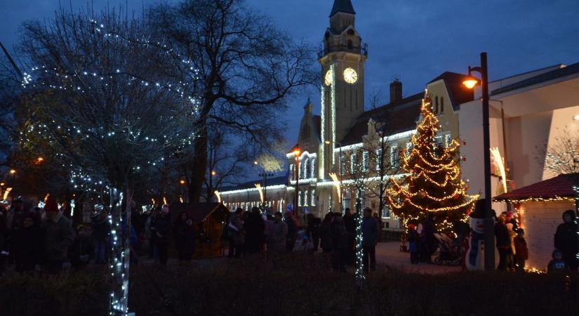 Már keresik a város karácsonyfáját