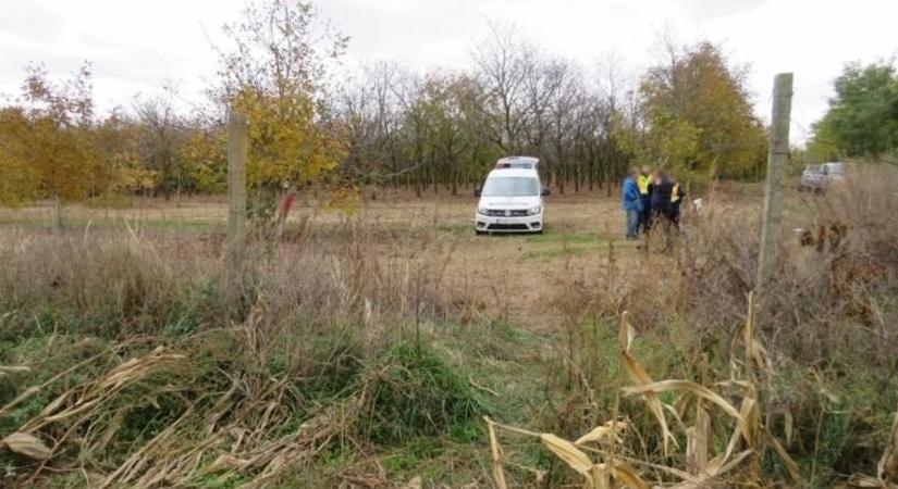 Már megint diótolvajokat fogtak a csonthéjas paradicsomban