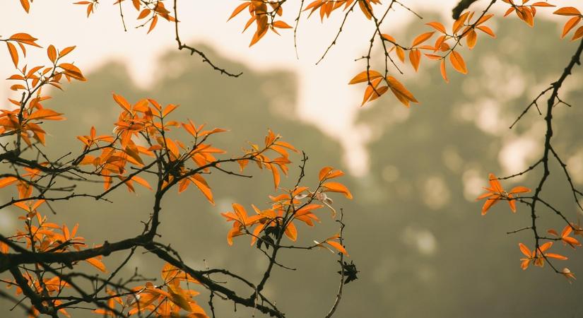 Időjárás: Kettészakad az ország, brutális hőmérsékleti különbségek VIDEÓ
