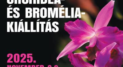 Orchidea és Bromélia Kiállítás, 2025. november 6-9.