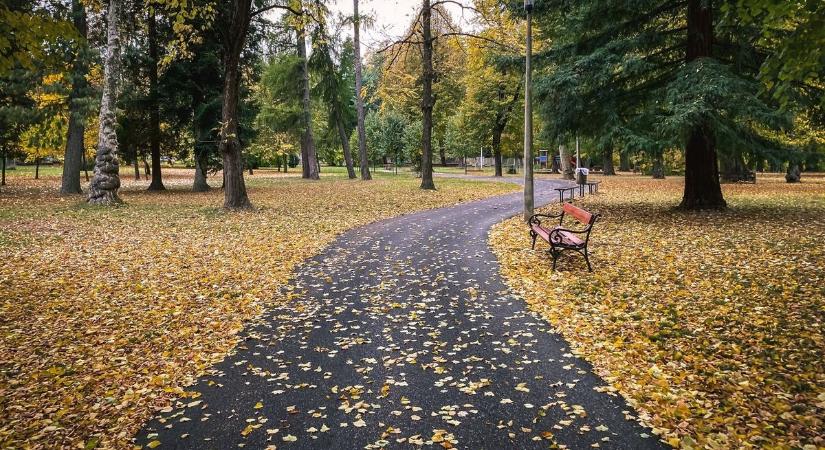 Gyaloglásra hívják az időseket Baranyában