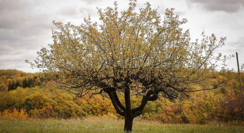 Párás, ködös lesz az idő – mi várható a pénteken Hevesben?