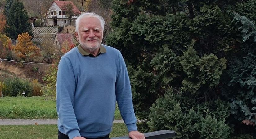 Hazalátogatott vármegyénkbe Hide the Pain Harold - fotók