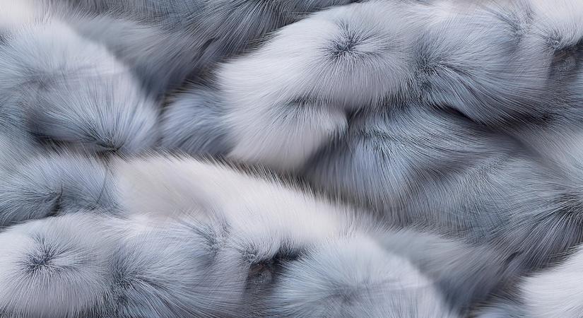 Ki lesz a következő? – A prémesállat-tenyésztés betiltása veszélyes precedenst teremthet a lengyeleknél