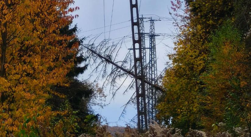 Több órás áramszünet a Bakony fővárosában és két faluban – Az E.ON-tól tudjuk az okát (helyszíni fotók)
