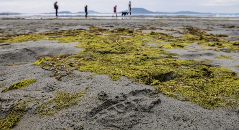 Kevesebb a víz a Balatonban, de a jövő nyár miatt nincs pánikhangulat