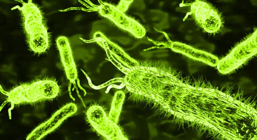 Megtalálhatták a műanyag újrahasznosításának Szent Grálját