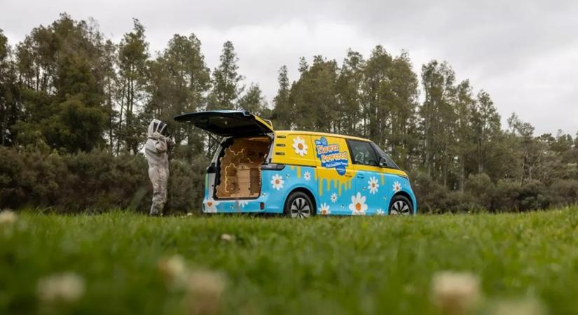 Mit keres 120 ezer méh egyetlen furgonban? VIDEÓ