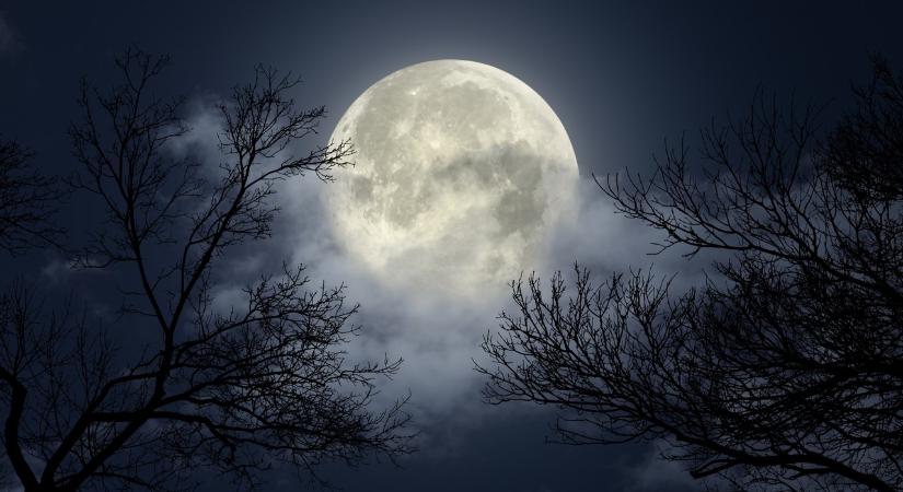 Ezek a novemberi telihold sorsfordító energiái