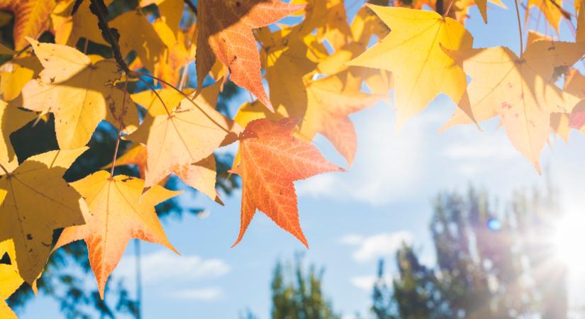 Olyan időre készülhetünk, amilyen rég volt itthon: ezt jó, ha mindenki tudja