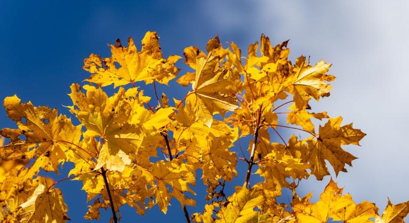 A pénteki időjárás során az ősz minden arca megmutatkozik