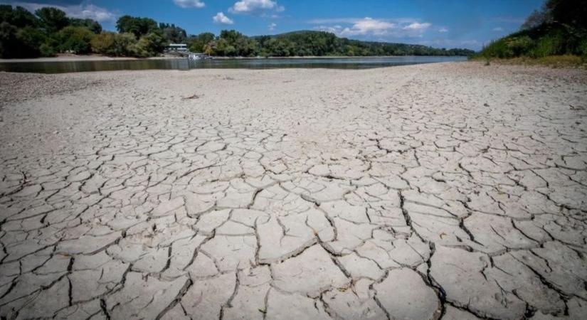 Drámai jövőkép: a klímaváltozás miatt több zöldség és gyümölcs is eltűnhet az asztalunkról