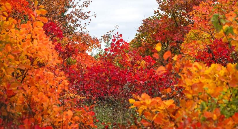Ledobhatjuk a textilt, meglepetést tartogat a hétvége