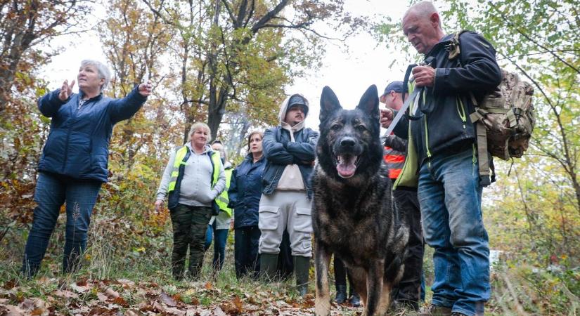 Gersekaráton is keresték Lukóczki Lászlót - Csütörtökön sem járt sikerrel a keresőakció