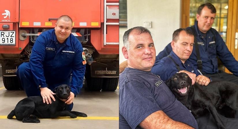Felmentették a szolgálat alól a hajdú-bihari tűzoltók hűséges bajtársát
