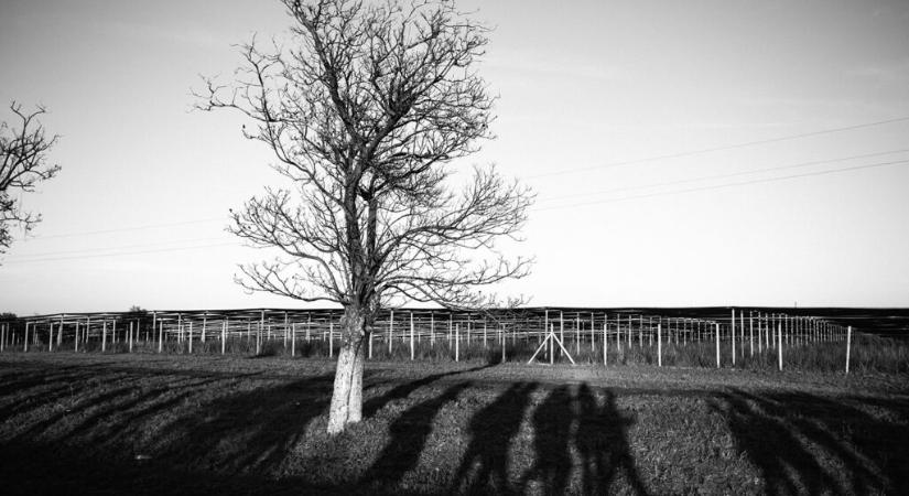 Ha megy a szombati megemlékezésre, ezeket a dolgokat ne vigye magával