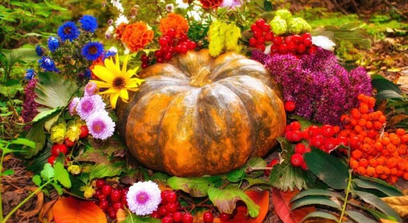 Novemberi turbó-horoszkóp különös tekintettel a pénztárcád és a közelgő ünnephegyek kapcsolatára