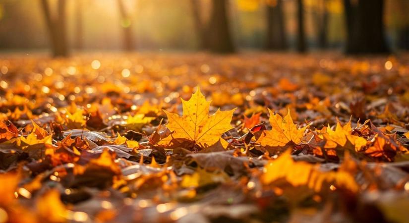 Jönnek a felhők és a lehűlés pénteken Győrbe és térségébe