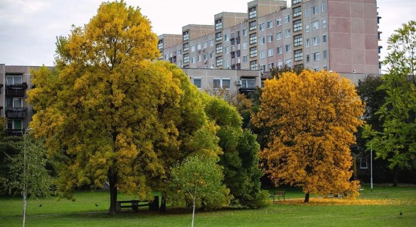 Így alakul a holnapi időjárás: ilyen idővel hangolódhatunk Mindenszentekre