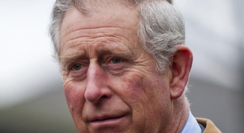 III. Károly megfosztotta Andrást a hercegi címétől - a király öccsének még a hivatalos neve is megváltozott