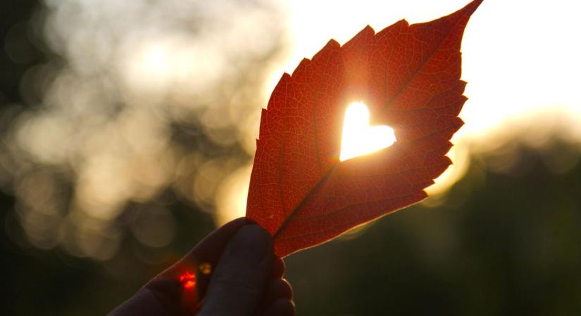 Nem lesz szükség nagykabátra pénteken