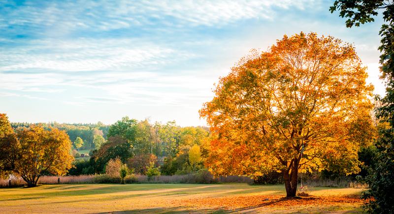 Kellemes őszi idő várható
