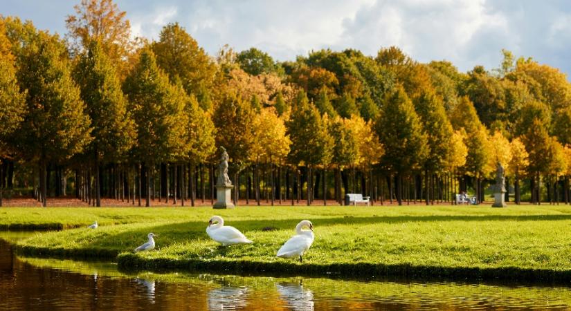 Nem marad sokáig velünk a vénasszonyok nyara