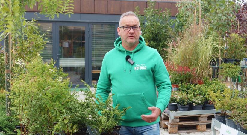 Tujavész után - 5 tuti sövény, amit érdemes telepíteni - Tippek a Kisalföld Kert Mesterétől - videó