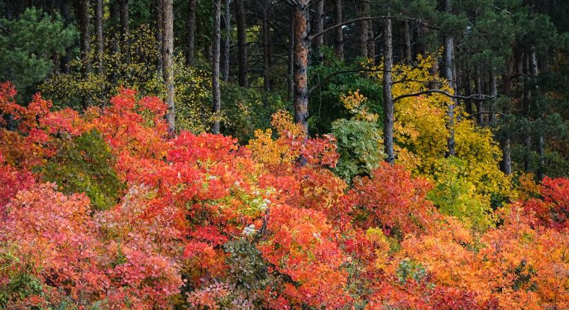 Napsütéssel búcsúzik az október
