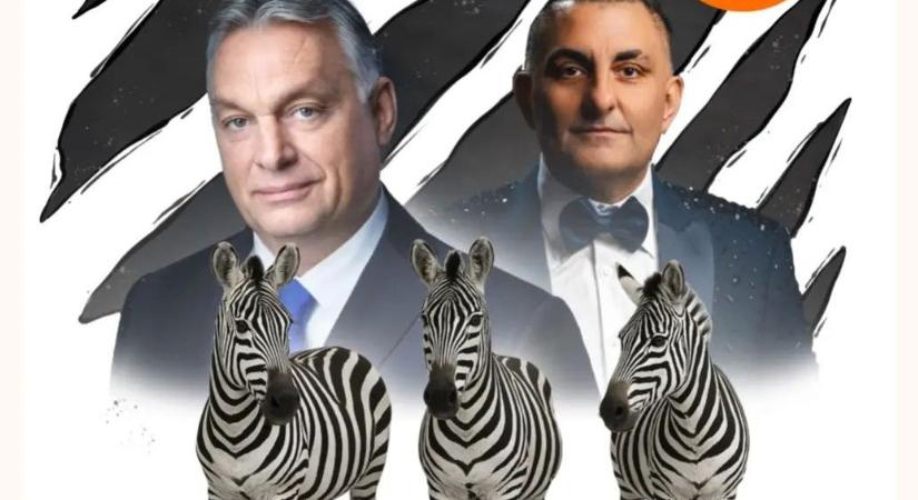 A Társadalomkutató az AI-kampányt méri