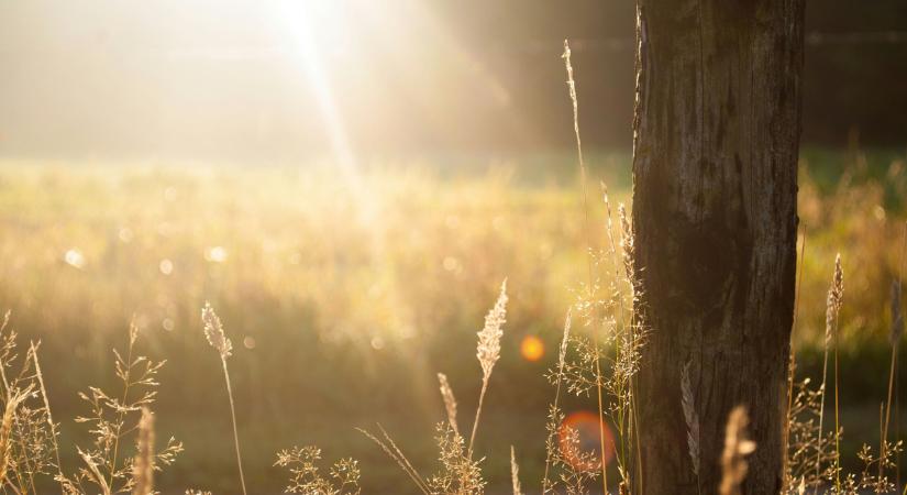 Elképesztő időjárásra számíthatunk - feje tetejére állt az ősz!