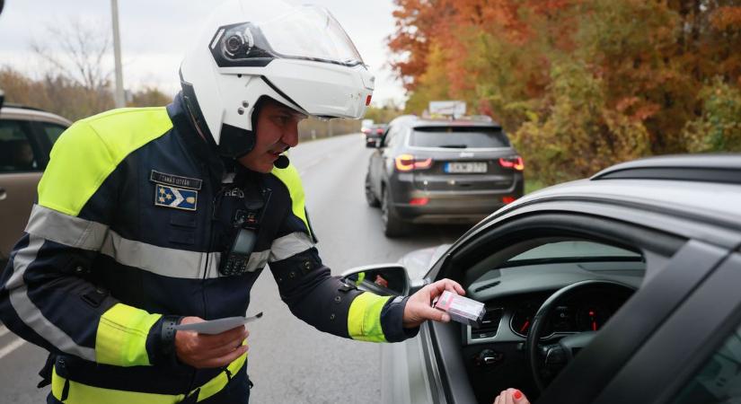 Évente többszáz balesetet okoznak Szabolcsban a váratlanul felbukkanó vadak (galéria, videó)