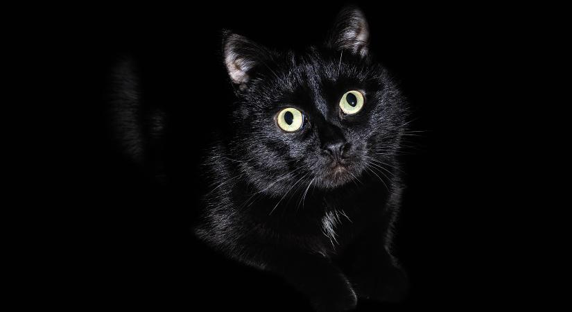 Miért van a boszorkányoknak fekete macskája?