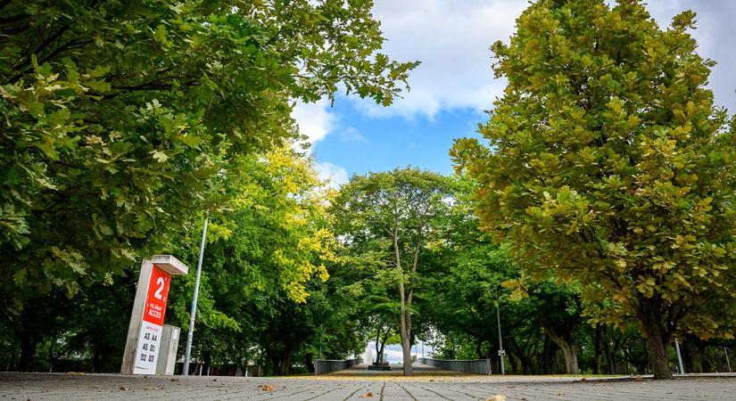 Kellemes idő várható az első novemberi hétvégén