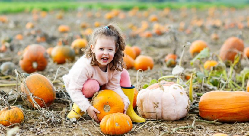 Ez igen! Ettől a pofonegyszerű trükktől lesz elképesztően finom a sütőtök!
