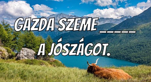 Napi közmondás feladat: Ki tudod egészíteni?