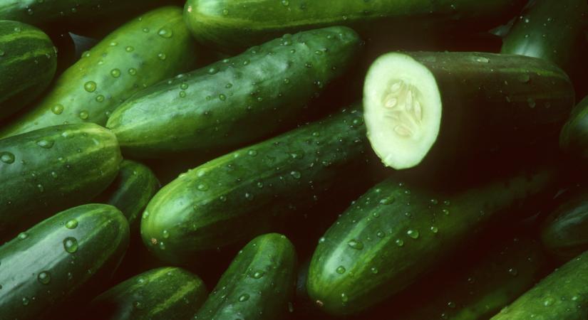 Ilyen uborkával van tele rengeteg piac: durva, honnan jön az áru