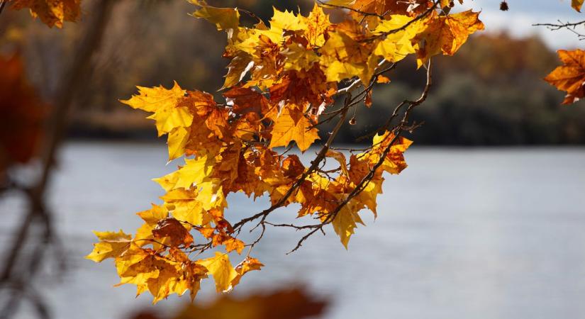 Melegszik az idő, mutatjuk, hány fokot mérhetünk napközben