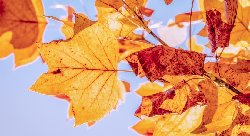 Szakadozó felhőzet, naposabb idő várható a mai napon