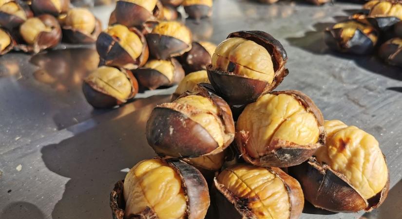 Gesztenyeillatú emlékek