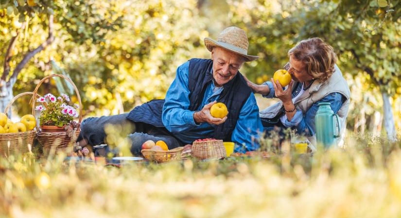 Őszi test, téli bölcsesség – mit együnk 60 felett?