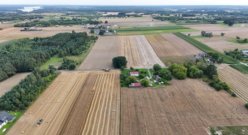 Nagyüzemi termelés vagy kisgazdaságok: melyik a jobb nekünk?