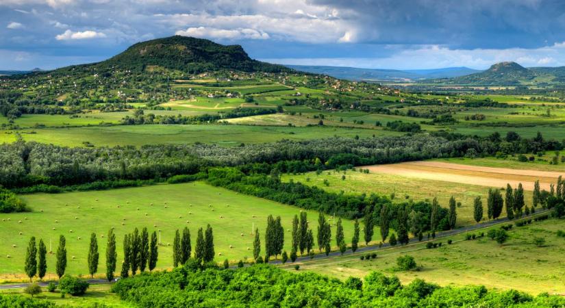 Környezetismereti kvíz: vajon megy még az általános iskolai tananyag?