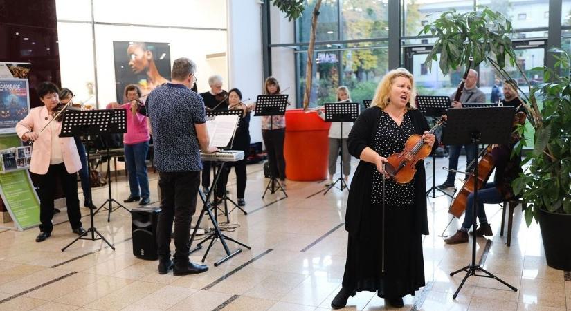 Opera másképp: jön az Egri Kamaraopera Fesztivál