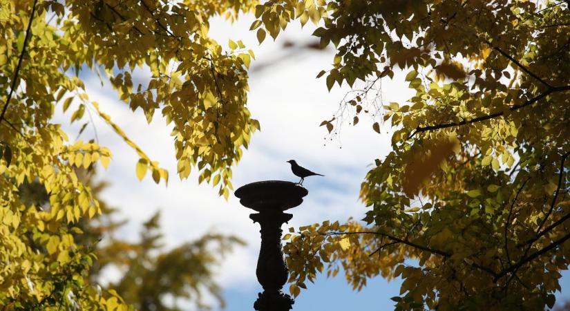 Elképesztő hőmérséklettel búcsúzik október – Örülsz neki vagy fáj majd a fejed?