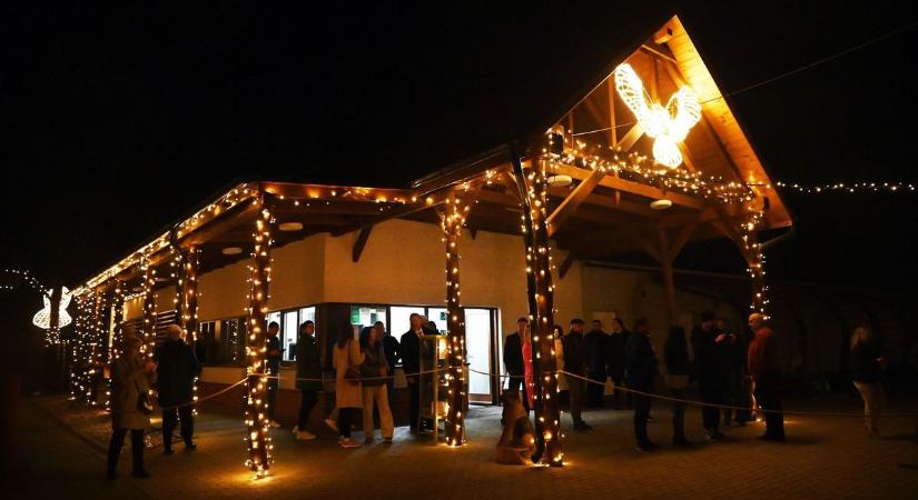 NEFAG Fénypark – A Fényállatok parkja