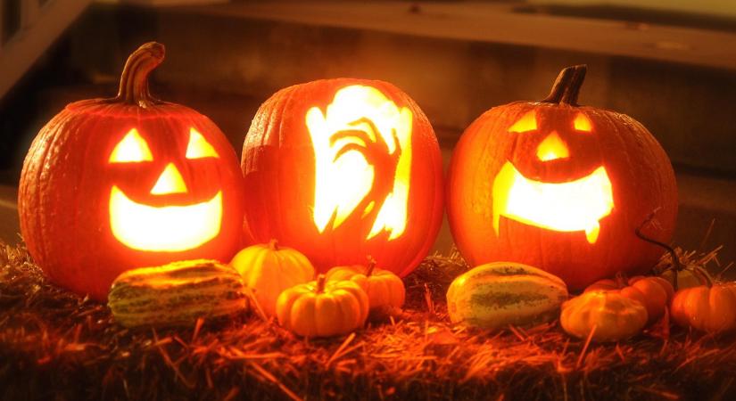 Zebegény, a betiltott tökfaragás városa – polgári engedetlenség készül