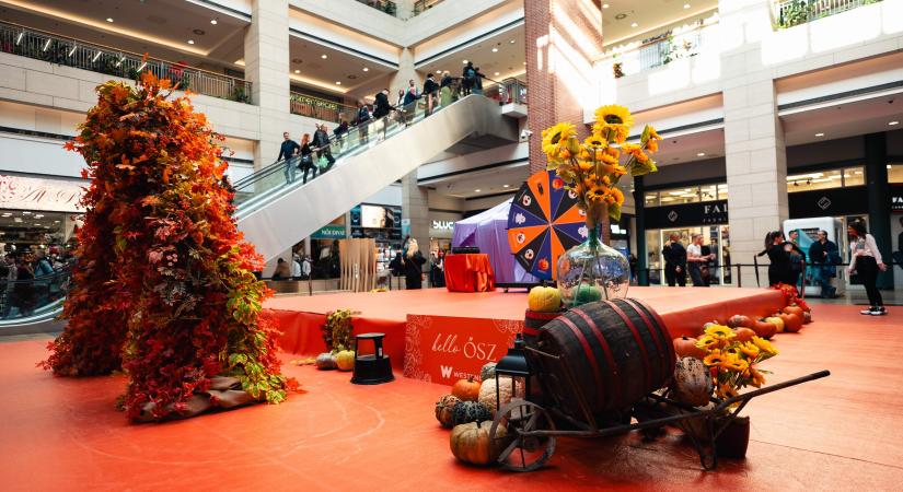 Halloween 2025 – Élmények, amelyek mozgásban tartanak