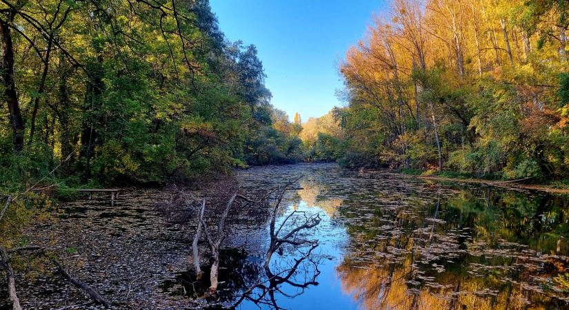 Gyönyörű őszi időnk lesz